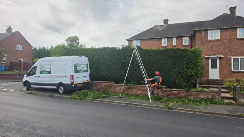KC Landscapes trimming a tall conifer hedge at a Cheshire home, van and tripod ladder at the kerb
