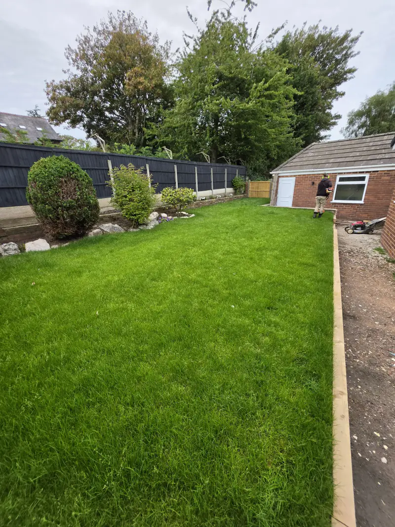 Long, uncut lawn in a Cheshire back garden before a KC Landscapes maintenance visit