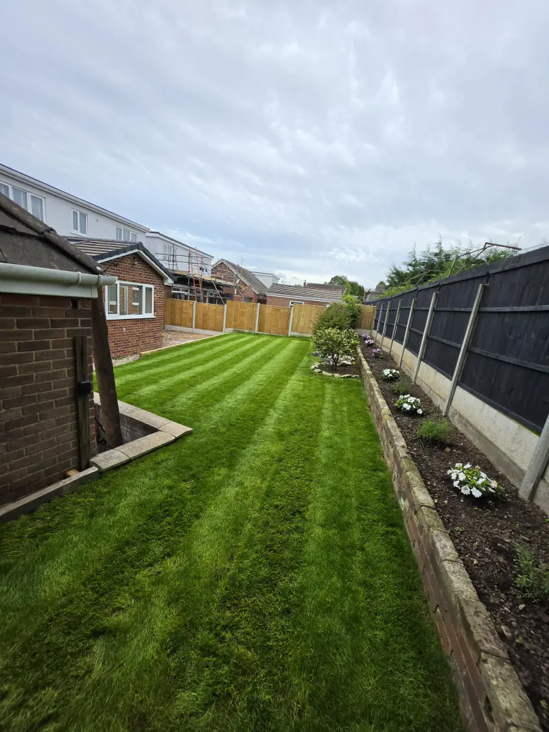 Freshly cut and striped lawn after a KC Landscapes garden maintenance visit in Cheshire