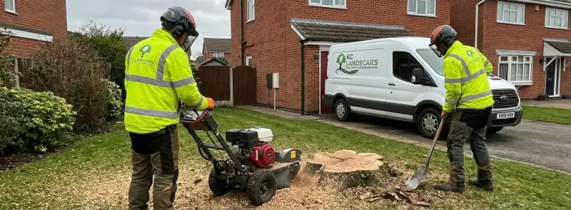 Stump grinding and removal in Cheshire